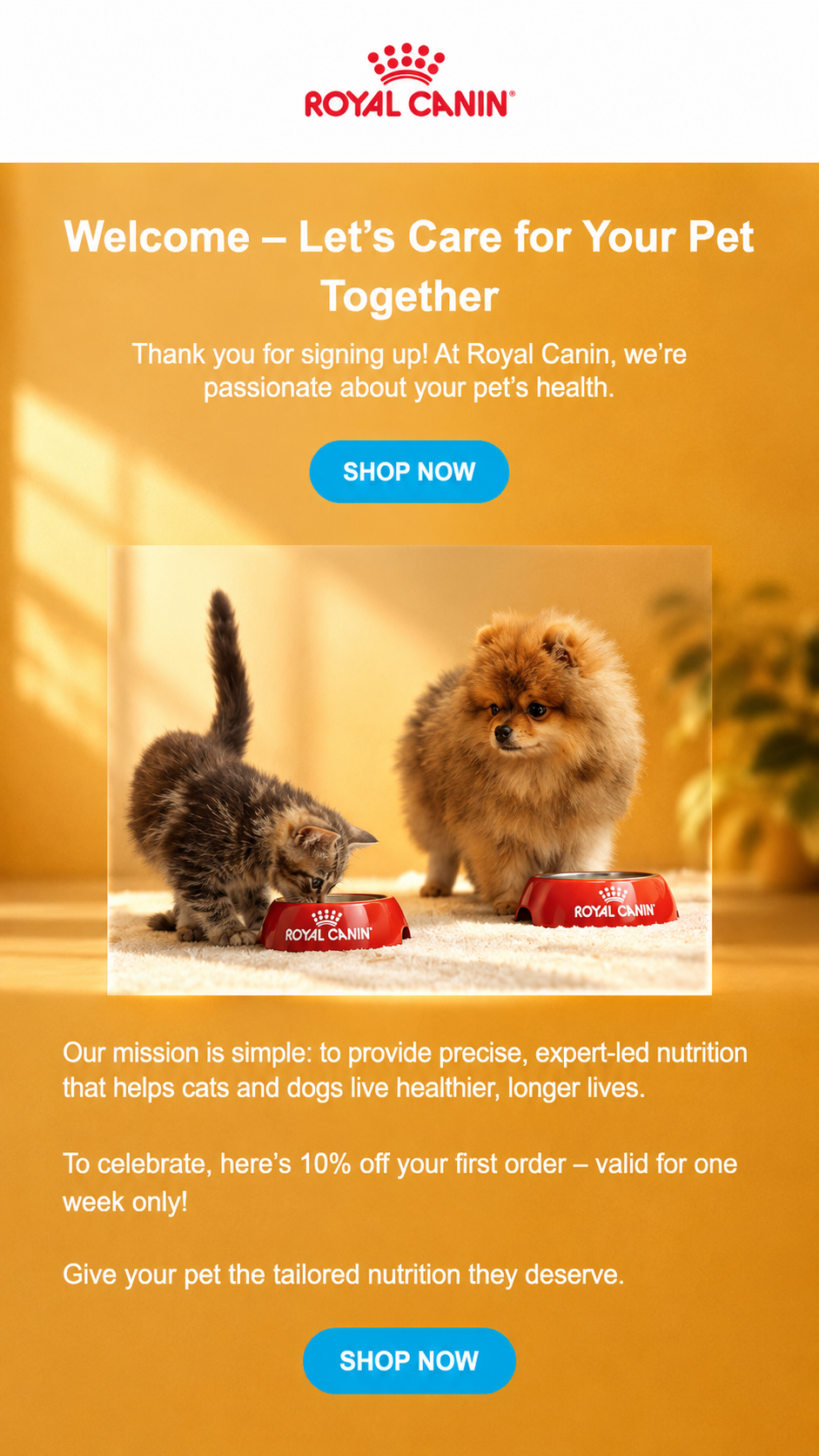 Promotion Email Series Ofélia